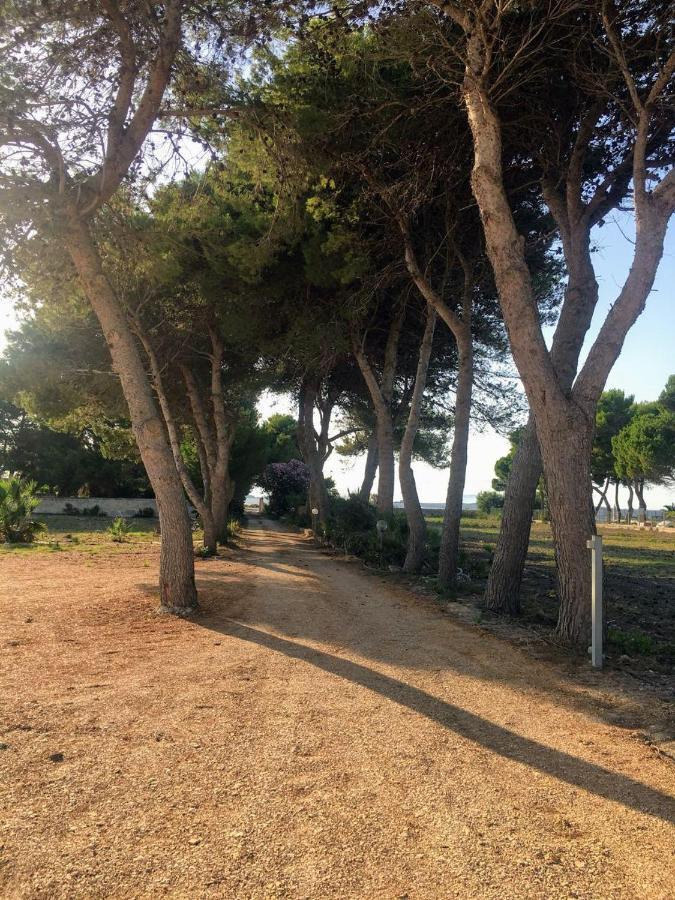 Case Vacanze Spagnola 106 مارسالا المظهر الخارجي الصورة